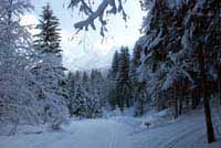 ski fond Bouchets